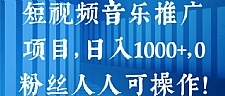 短视频音乐推广项目，日入1000+，0粉丝人人可操作！【视频教程】